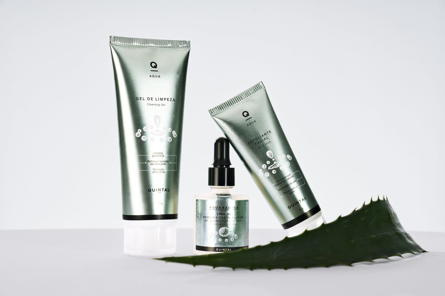 saiba como fazer skincare com babosa e quais são produtos usar para aproveitar seus benefícios